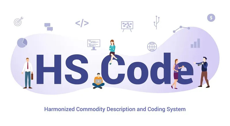 HS Code Là Gì? Cách Tra Cứu Mã HS